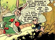 Bunny Wizard Earth-C-Plus 0001