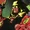 Rex Tyler (JSA: The Golden Age)
