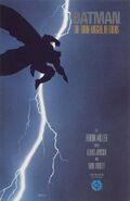 Batman: Dark Knight Returns 1