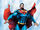 Superman 0014.jpg