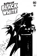 Batman: Black and White Vol 2 2