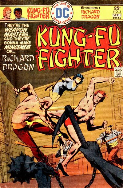 kung fu fighter comic