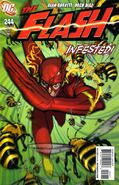 The Flash Vol 2 244