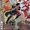 Absolute Wonder Woman Vol 1 2