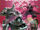 DC Horror Presents: Creature Commandos Vol 1