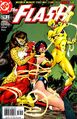 The Flash (Volume 2) #219