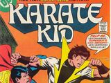 Karate Kid Vol 1 12