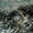 Swamp Thing (Damned)