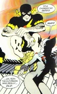 Barry Allen Earth-31 The Dark Knight Strikes Again