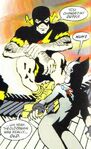 Барри Аллен Земля-686* The Dark Knight Strikes Again