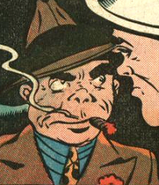 The Porker Earth-Two Wildcat villain