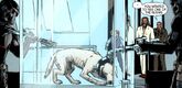 Krypto Alternate Timelines Flashpoint