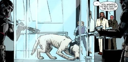 Krypto Alternate Timelines Flashpoint