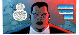 Amanda Waller 0008