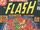 The Flash Vol 1 256