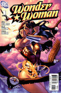 Wonder Woman Vol 3 (2006—2010) 44 issues