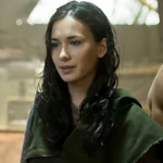 As Shado Arrow 2013-2017