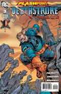 Flashpoint: Deathstroke and the Curse of the Ravager Vol 1 3