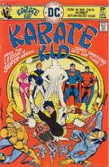 Karate Kid (1976—1978) 15 issues