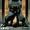 Absolute Batman Vol 1 1