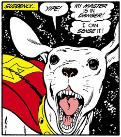 Krypto Earth-Twenty-Three Pocket Universe
