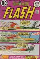 The Flash Vol 1 223