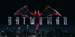 "A Lesson From Professor Pyg" (November 10, 2021) Batwoman