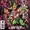 DCU Villains Secret Files and Origins Vol 1 1