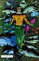 Aquaman 0153