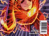The Flash Vol 4