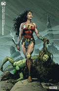 Wonder Woman Evolution Vol 1 7 Variant