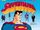 Superman: The Animated Series Guide