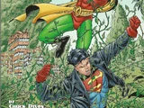 WF3: World's Finest Three (Superboy/Robin) Vol 1 2