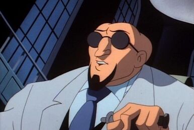 https://static.wikia.nocookie.net/marvel_dc/images/f/f6/Hugo_Strange_DCAU_002.jpg/revision/latest/smart/width/386/height/259?cb=20130720135429