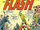 The Flash Vol 1 241.jpg