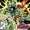 The Fury of Firestorm Vol 1 52