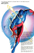 The Atom Elseworlds Justice