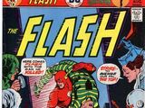 The Flash Vol 1 243