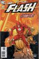 The Flash (Volume 2) #241