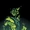 Lazarus Pit