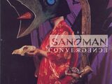 Sandman Vol 2 40