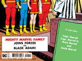 Facsimile Edition: The Marvel Family Vol 1 1