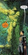 Swamp Thing Alternate Timelines Flashpoint
