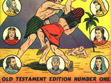 Picture Stories from the Bible Old Testament Vol 1 1