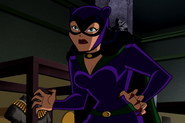 Selina Kyle BTBATB Batman: The Brave and the Bold