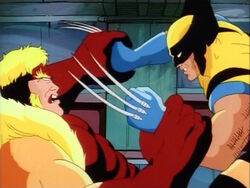 Sabretooth Wrestles Wolverine