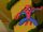 Spidey Column Error SSM.jpg