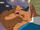 Thing Torch Fight Telethon.jpg