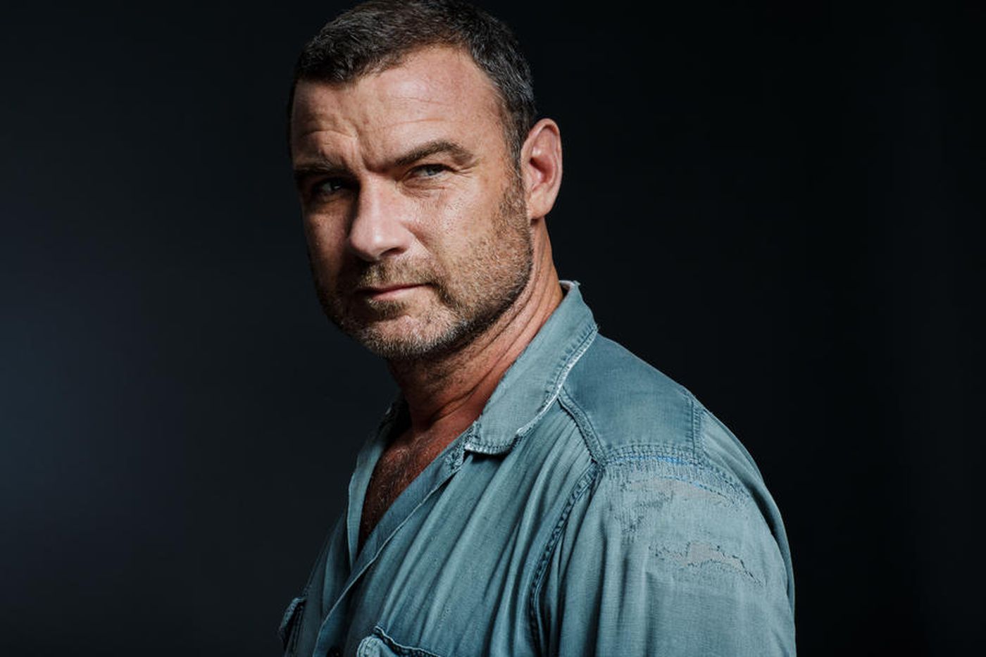 Liev Schreiber Beard