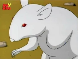 Except this one is white instead of black